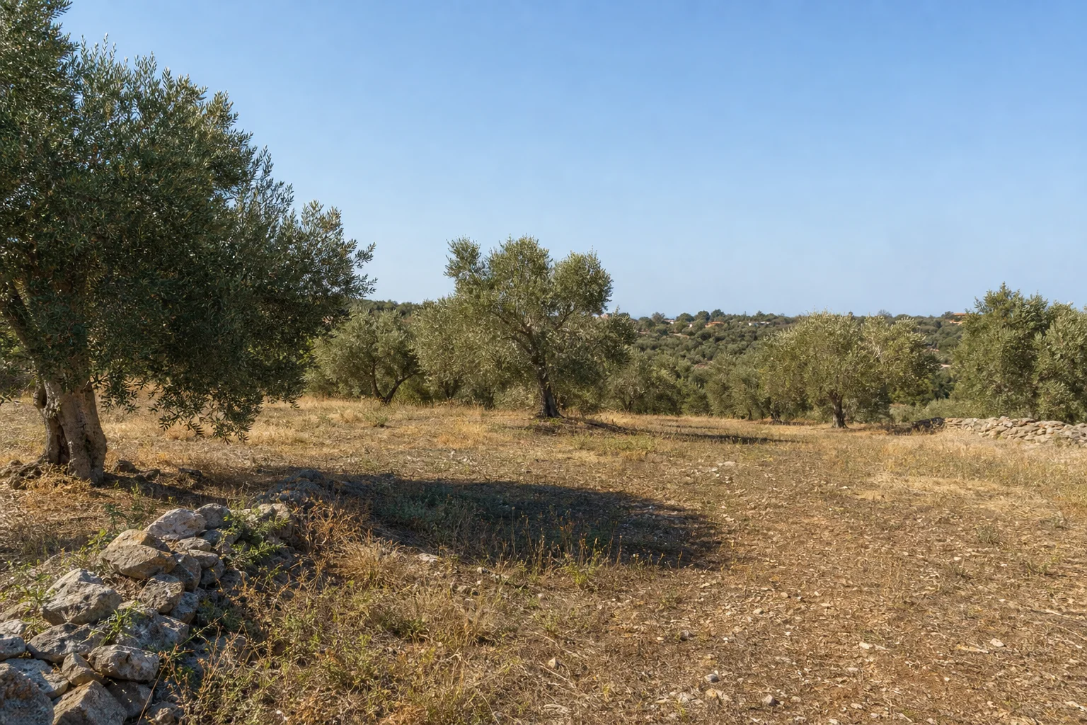 Ενδεικτική φωτορεαλιστική εικόνα αδόμητης μεσογειακής γης· δεν απεικονίζει το συγκεκριμένο ακίνητο.